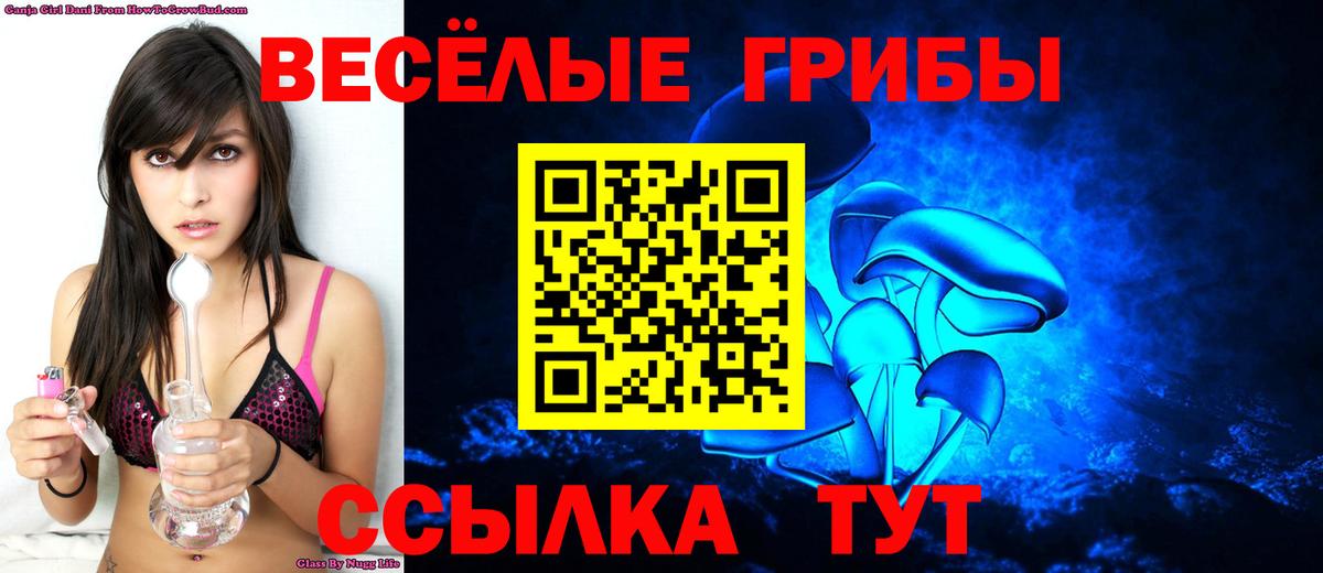 Галлюциногенные грибы мухоморы Каменка